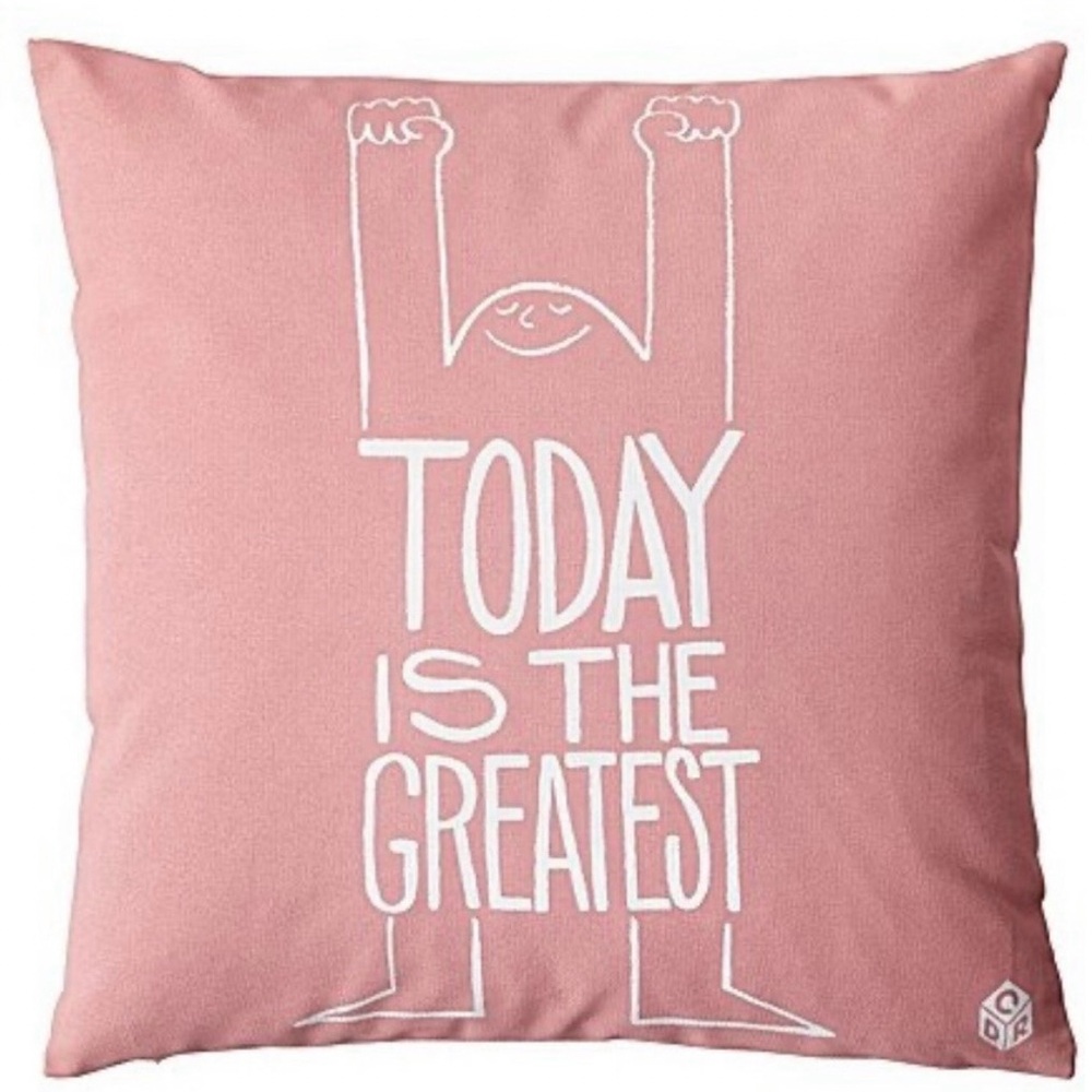 Serena & Lily Pink and White Pillow Case for Elegant Decor